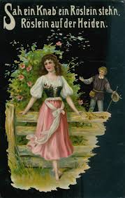 Heidenröslein Goethe